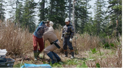 A field team installs scientific equipment in a mountain forest.